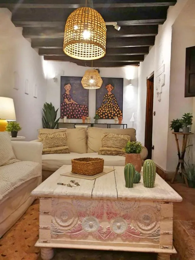 Casa Patio Los Suenos De Daury II Cordoba Spain