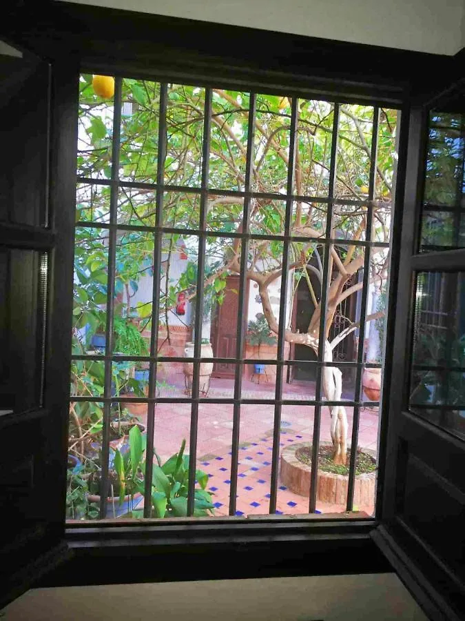Apartamento Casa Patio Los Sueños de Daury Córdoba